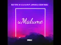 Download Lagu uMalume Full Song ✌🏼🔥
