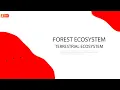 L7 FOREST ECOSYSTEM - Terrestrial Ecosystem ENVS-L007