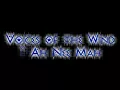 Voices of the Wind ~ Ah Nee Mah