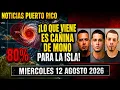 MAS ARMAS QUE RAMBO Caen con arsenal de guerra en Ponce y Salinas Noticias de Puerto Rico Hoy
