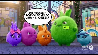 4 minutes of did you skip school moments of sunny bunnies