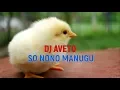 Lagu Nias So Nono Manugu Dj Aveto