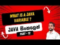 Part 12 What is a Variable in Java in Sinhala Java in Sinhala