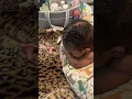 Do lovely kays hair she got sleepy at the end babies view