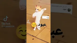 الحلو عبود عبود 