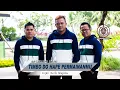 Download Lagu ARGHADO TRIO TIMBO DO HAPE PERMAINANMU  (OFFICIAL MUSIC VIDEO) CIPT SERLI NAPITU