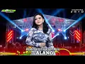 Download Lagu ENAK DI DENGAR!! ILALANG - WANDA BAITO I Garosta Music #ilalang #agengmusik #koplo