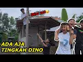 Download Lagu ADA AJA TINGKAHNYA DINO
