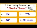 intelligenceonline7050 How many bones do Sharks Have