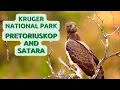 Download Lagu OUR FIRST VIDEO | Kruger Park Trip - Pretoriuskop and Satara