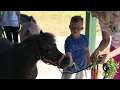 Patients of all ages benefit from therapy with horses