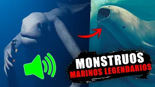 SONIDOS de MONSTRUOS MARINOS: the bloop, sea eater y el gran maja