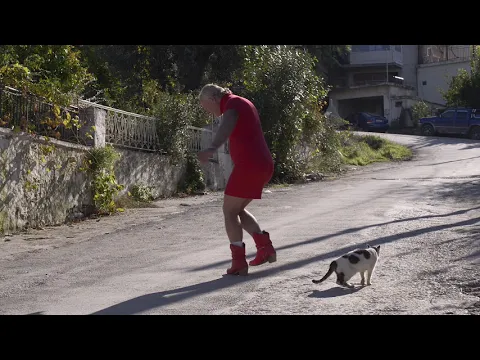 Mr. Dimitris and Mrs. Dimitroula trailer