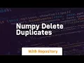numpy delete duplicates
