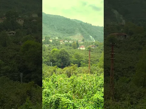 Doğa Harikası 🌳❤️