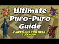Puro Puro Guide Everything you need to know 2021 OSRS