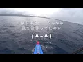 鳩間島-西表島 SUPレース 2019.11.23 IRIOMOTE SUP GrandPrix 2019