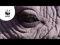 Download Lagu Kom nu in actie voor jouw wereld en steun ons noodfonds.
