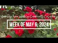 Weekly Community Calendar - Week of May 6th 2024