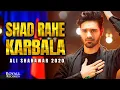 Download Lagu Shad Rahe Karbala | Ali Shanawar | 2020 | 1442