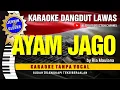 AYAM JAGO - Ria Maulana // Karaoke Dangdut original ( Vidio HD  Suara Jernih )
