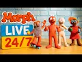 Morph LIVE STREAM