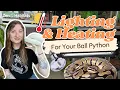 Ball Python Lighting Heating Guide Proper Setup Temps UVB