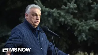 a great day for western democracy joe reacts to outcome of hungarys election