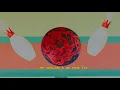 Wonder - ADOY