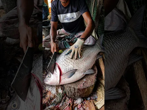 Amazing Attractive Big Size Katla Fish Cutting Skills 😱😲 #shorts