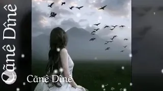 اه يا ناس اه مين يصبرني دندنها