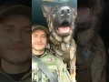 Download Lagu You Wont Believe How Big This K9 Is!
