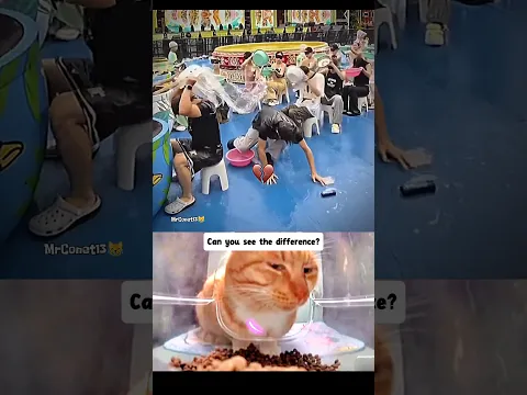 he just wanna take a bath🗿☠️ #cat #react #memes #funny #explore #edit #shorts