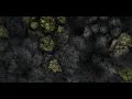 6lack - Rent Free (Nature N’ Lyrics Video)