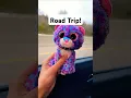 Beanie Boos are the best companions