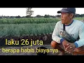 Download Lagu ternyata begini keuntungan tanam bawang merah padahal lagi turun harga nya