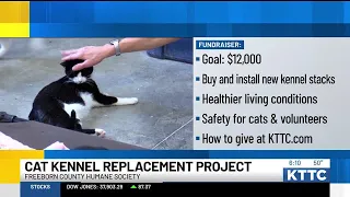 Freeborn County Humane Society launches Cat Kennel Replacement Project