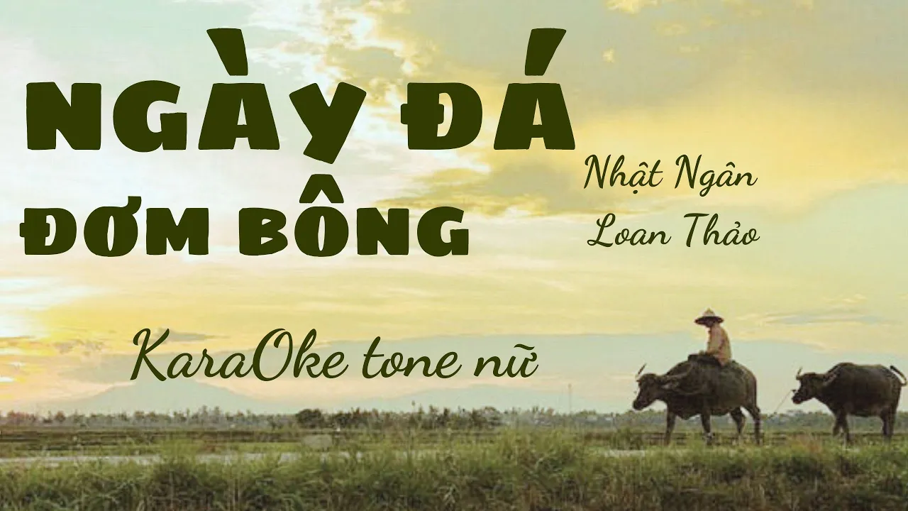 Ngày đá đơm bông | Karaoke tone nữ | Cui bap music