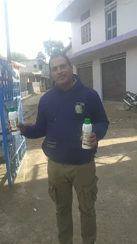 15 कनाल जमीन, गेंहू की फसल, नैनो यूरिया के उपयोग से लहलहा गए खेत