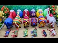 Download Lagu COW🐮‼️🐮SAPI VIDEO WADIDAW POTONG SIMOLASI QURBANI IDULIDHA COW CARTOON DINOSAUR🦖🦕 VIDEO‪