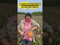 Download Lagu 😍Farm Fresh Ninja Fruit | Tik Tok China | ( Pineapple ) #fruit  #carving  #shorts