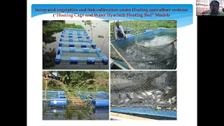 floating farms in bangladesh dr md mostafizur rahman talukder bari