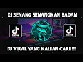 DJ SENANG SENANGKAN BADAN SENANGKAN FIKIRAN || DJ MINANG VIRAL TIKTOK TERBARU MENGKANE 2024