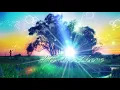 Download Lagu CJ Catalizer - I'll Be There [ Full Album Tryptology Mix ] [ Chill Out, Deep Trance, Psychill ]