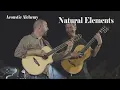 Natural Elements - Acoustic Alchemy | Guitar Tab