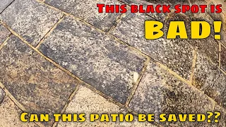 Download Probably The WORST BLACK SPOT I've Seen On An Indian Sandstone Patio EVER. Can I Remove it MP3