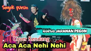 cover kendang aca aca nehi nehi jaranan