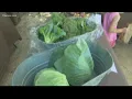 Buying local in Macon is easy at the Mulberry Market