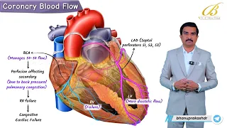 Coronary Circulation Animation | Systole vs Diastole, Regulation & Oxygen Demand: Dr G Bhanu Prakash