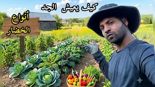 اشتريت دراجة بـ350$😁 .. تحدي 60 يوم لتحويل هذا البيت والمزرعة  إلى منزل أحلامي! 🏍️🏡ا مصطفى ستار